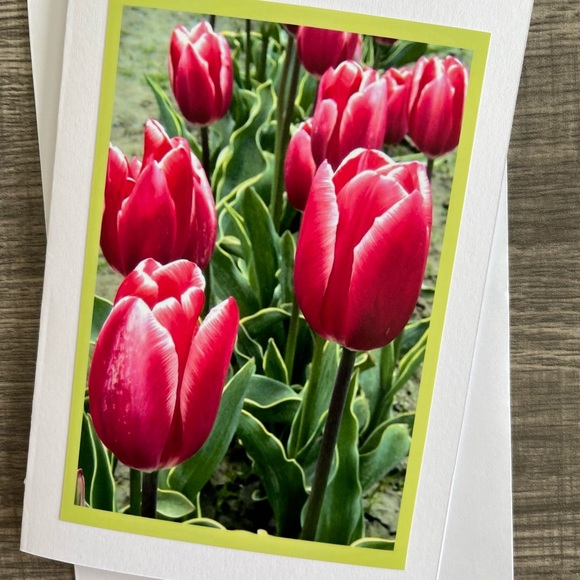 Six 5x7 Blank Tulip Photo Greeting cards - Picture 3 of 7
